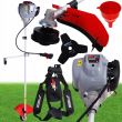 Motocoasa, trimmer, pe benzina, pentru iarba, 900 W, 1.2 CP,  43 cm, Dedra