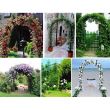 Arcada metalica/pergola gradina, 140x38x240 cm 