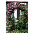 Arcada metalica/pergola gradina, 140x38x240 cm 