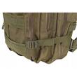 Ghiozdan/rucsac tactic, Trizand, 5 compartimente, poliester 600D, verde, 35 L, 37x29x55 cm