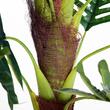 Palmier artificial cu ghiveci, verde, 123 cm
