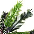 Palmier artificial cu ghiveci, verde, 123 cm