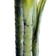 Palmier artificial cu ghiveci, verde, 150 cm