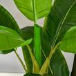 Planta bananier artificiala cu ghiveci, verde, 150 cm