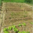 Sistem irigatii cu aspersor rotativ, 62 piese, 20 m, GardenLine