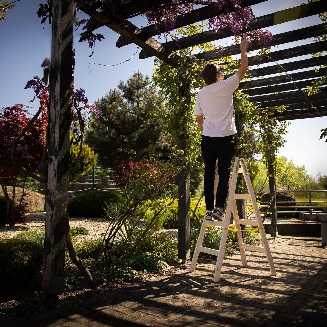 Scara dubla din lemn Strend Pro cu 4 trepte folosita in gradina, sub pergola