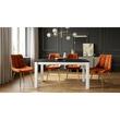 Set 4 scaune bucatarie/living, Artool, Bera, catifea aramie, picioare metal auriu, 53x60x87 cm
