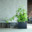 Set 2 jardiniere decorative, antracit, 58x18x49.8 cm, Urbi Case