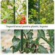 Set 25 araci/suport pentru rosii, castraveti, fasole, metal + PVC, verde, 210x1.1 cm, Artool