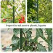 Set 25 araci/suport pentru rosii, castraveti, fasole, otel + PE, verde, 220x1.6 cm, Artool