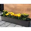 Jardiniere (set 4 buc.) 68.5 x 17.3 x 15 cm, antracit, Ratolla case P (ISR700P-S433-S4)