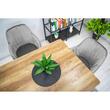 Set 6 scaune tip fotoliu bucatarie/living, Artool, Lugo, catifea argintie, picioare metal negru, 57.5x56.5x86.5 cm