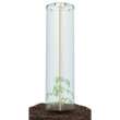 Sistem de mini sera cu irigatie pentru ghiveci, 38.5 cm, Prosperplast