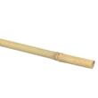 Suport/arac pentru plante, rosii, Strend Pro, bambus, set 10 buc, 0.6-0.8x60 cm