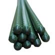 Suport/arac pentru plante, rosii, Strend Pro, metal + PVC, verde, 1.6x120 cm