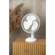 Ventilator pentru masa, 45 W, 2 viteze, 34x48 cm, Strend Pro