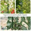 Set 20 suporti/araci pentru plante, rosii, metal + PVC, verde, 1.1x180 cm (211789SP)
