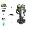 Decoratiune gradina, balcon lampa solara broasca 2 LED