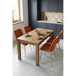 Set 4 scaune bucatarie/living, Artool, Bera, catifea aramie, picioare metal auriu, 53x60x87 cm