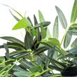 Planta bambus artificiala cu ghiveci, verde, 180 cm