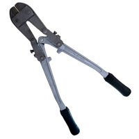 Cleste profesional taiat fier/beton, 750 mm, Richmann Exclusive