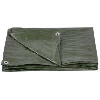 Prelata impermeabila cu inele, 1.9x2.9 m, PE, 65 g/mp, 6 mp