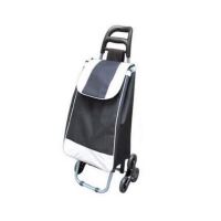 Geanta/carucior de cumparaturi pe roti, PE, PVC, EVA, 30 kg, 35x30x96 cm, Alfred